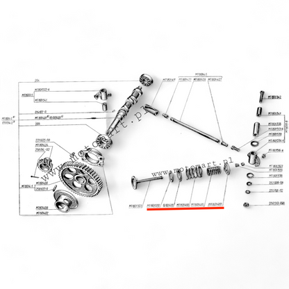 Valve springs for the cylinder head Dnieper MT, spring, cylinder head, valve, ORIGINAL SET